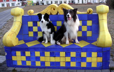 Robbie og Amy i Hoek van Holland