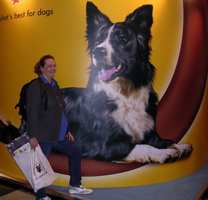 Anne foran en gigantsik Border Collie på Crufts.