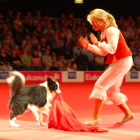 Undressing the hostess at the World Dog Show 2010