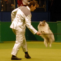 Crufts 2007