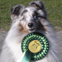 Crufts 2007