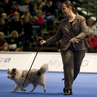 Nordic Freestyle Championships in Göteborg, Sweden 2008