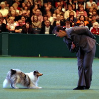 Crufts 2008