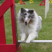 Agility