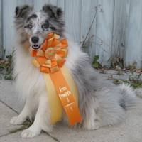 Freestyle Dog Of The Year 2009