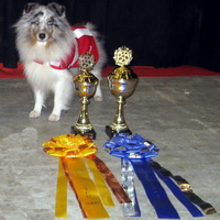 Individual Bronze and Team Silver at the Nordic Freestyle Championship 2009