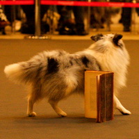 Individual Bronze at the Nordic Freestyle Championship 2009