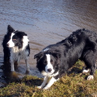 8 mth old - in the lake with Beat