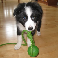 10 weeks old in my office at work