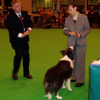 Crufts 2006