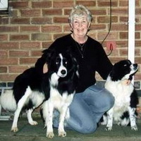 A young Whisper visiting his mum and breeder in UK