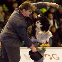 Silver Medalist at the Nordic Championships 2008