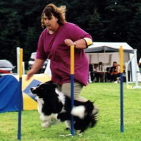 Agility