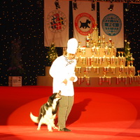 Main Arena opvisning ved World Dog Show 2010, Ratatouille