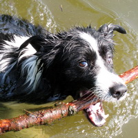 Enjoying a cool swim on a hot day