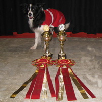 Winner of the Nordic Championship 2009