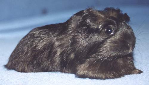 Emma ca. 2 mdr. gammel.